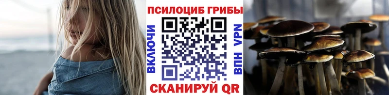 Псилоцибиновые грибы Magic Shrooms  Купить закладки  Томари 